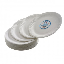 Paper Plate 7 Inch White (Pack of 100) 0511040